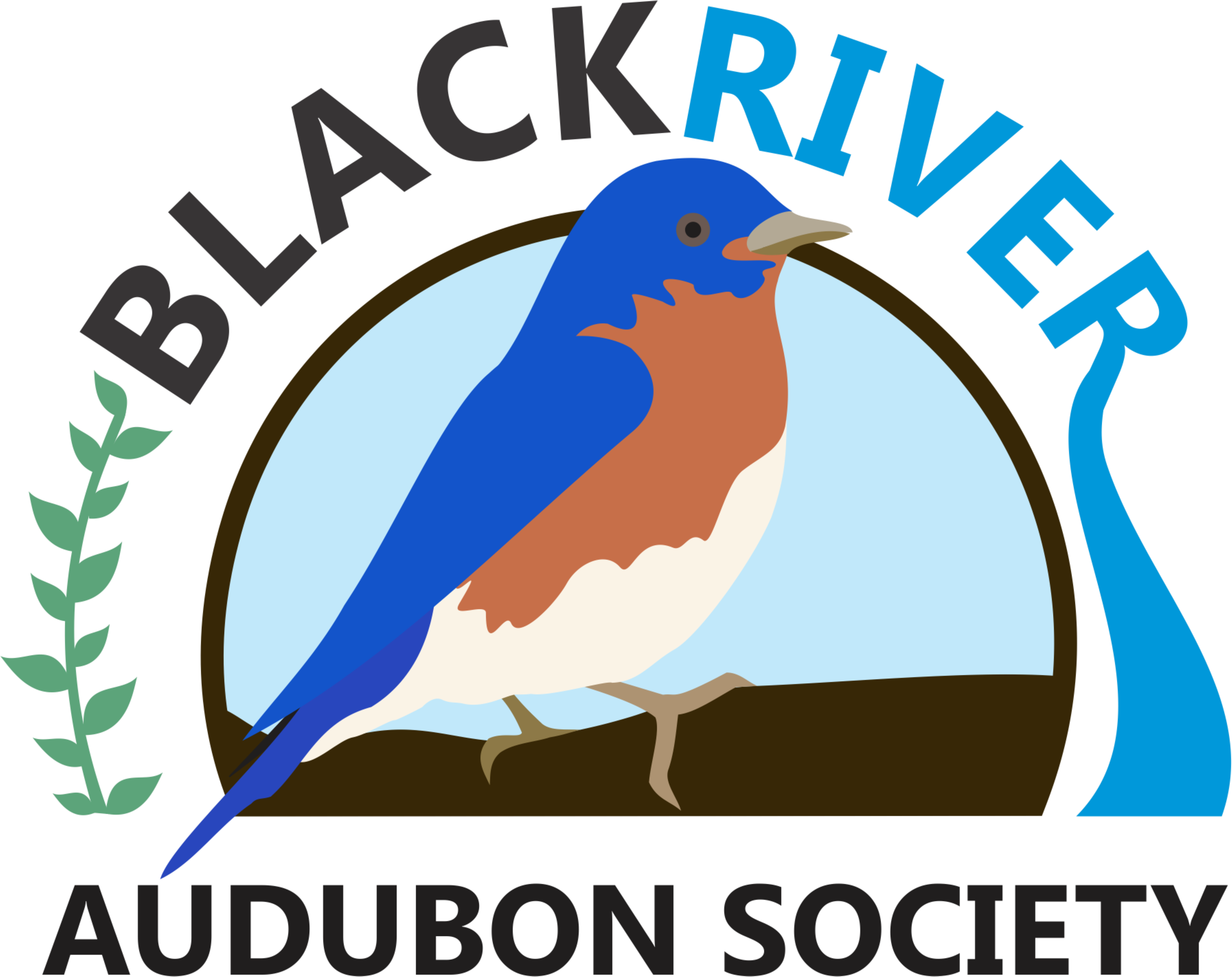 THE BLACK RIVER AUDUBON SOCIETY logo