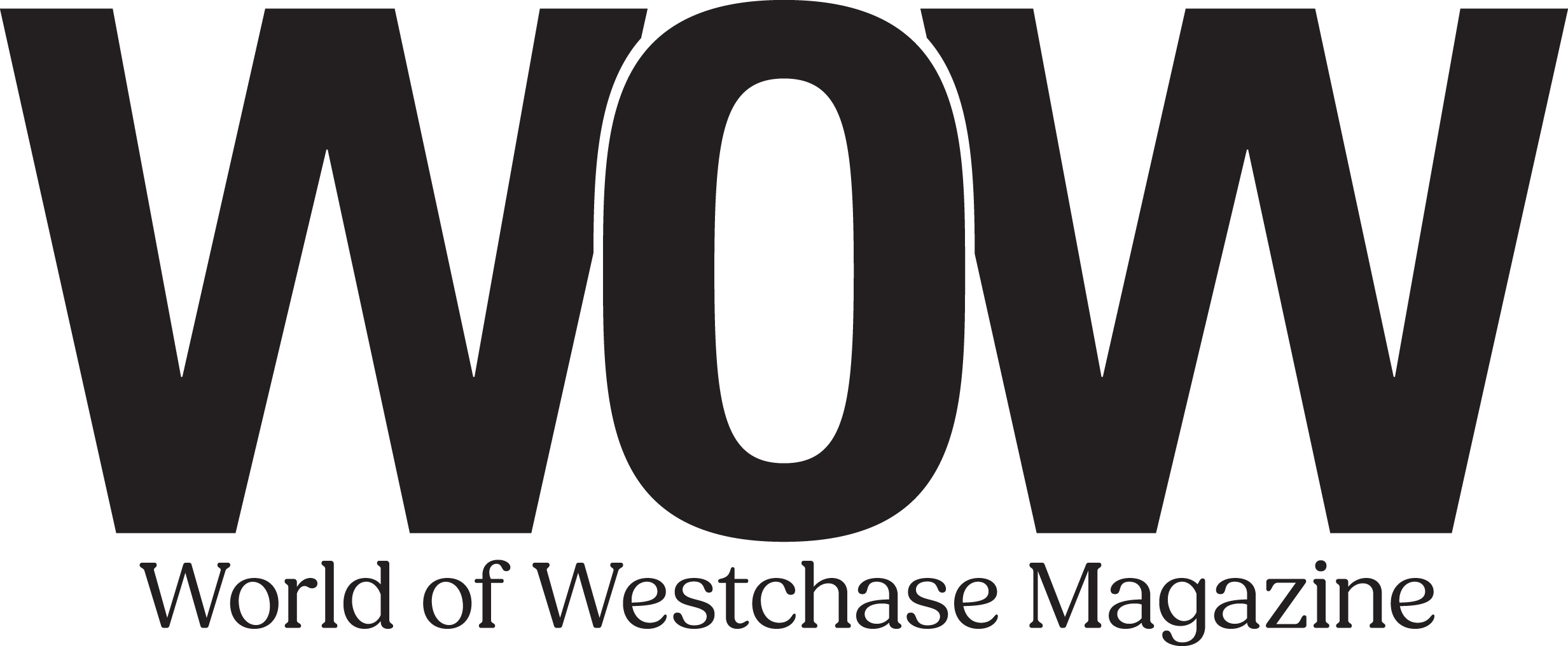 WORLD OF WESTCHASE INC logo
