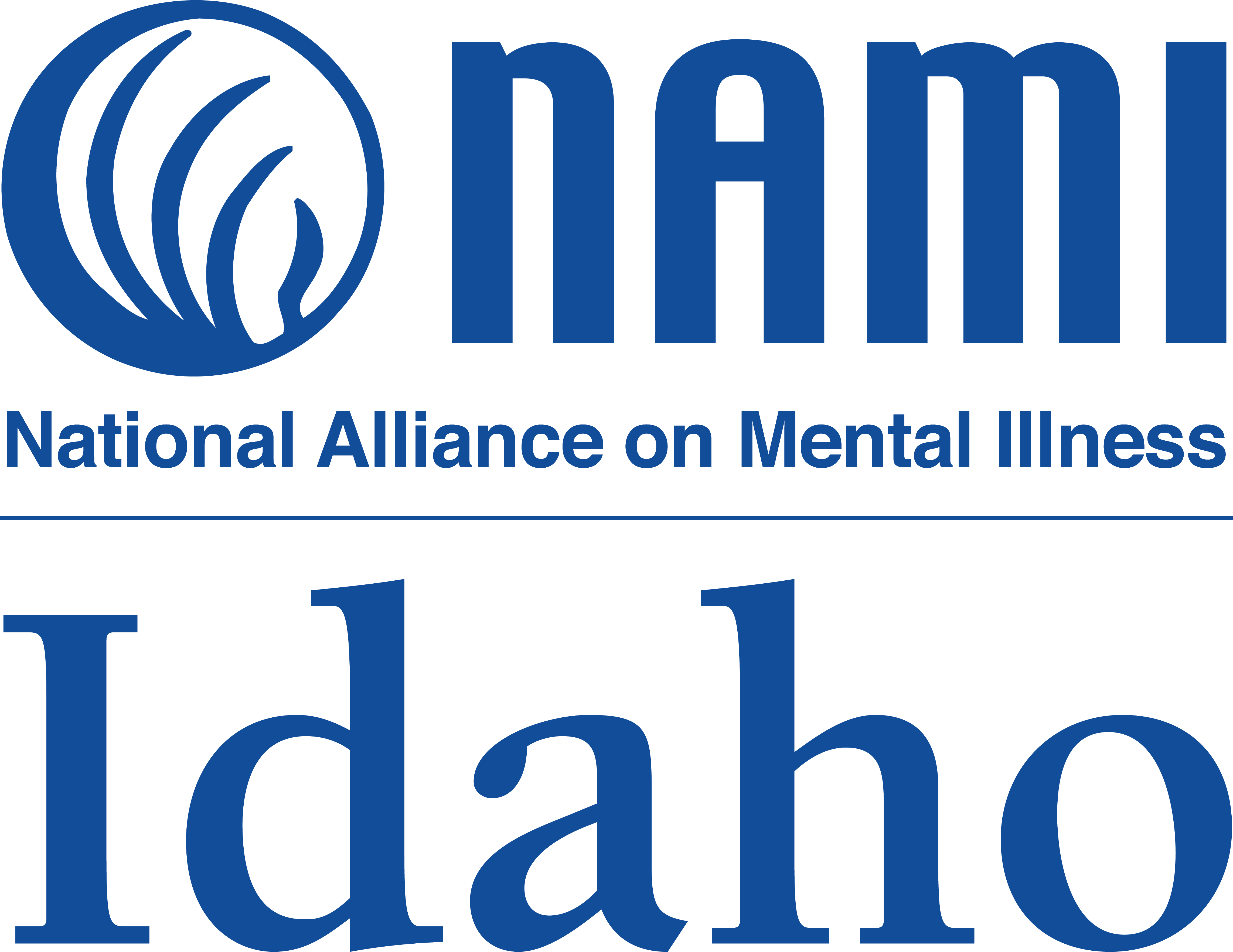 NAMI IDAHO INC logo