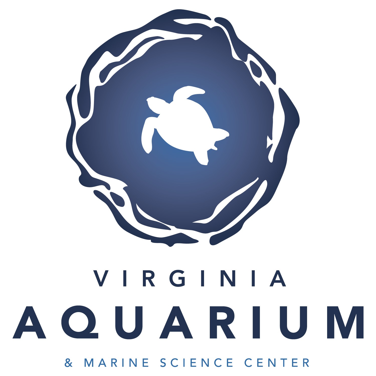 VIRGINIA AQUARIUM & MARINE SCIENCE CENTER FOUNDATION INC logo