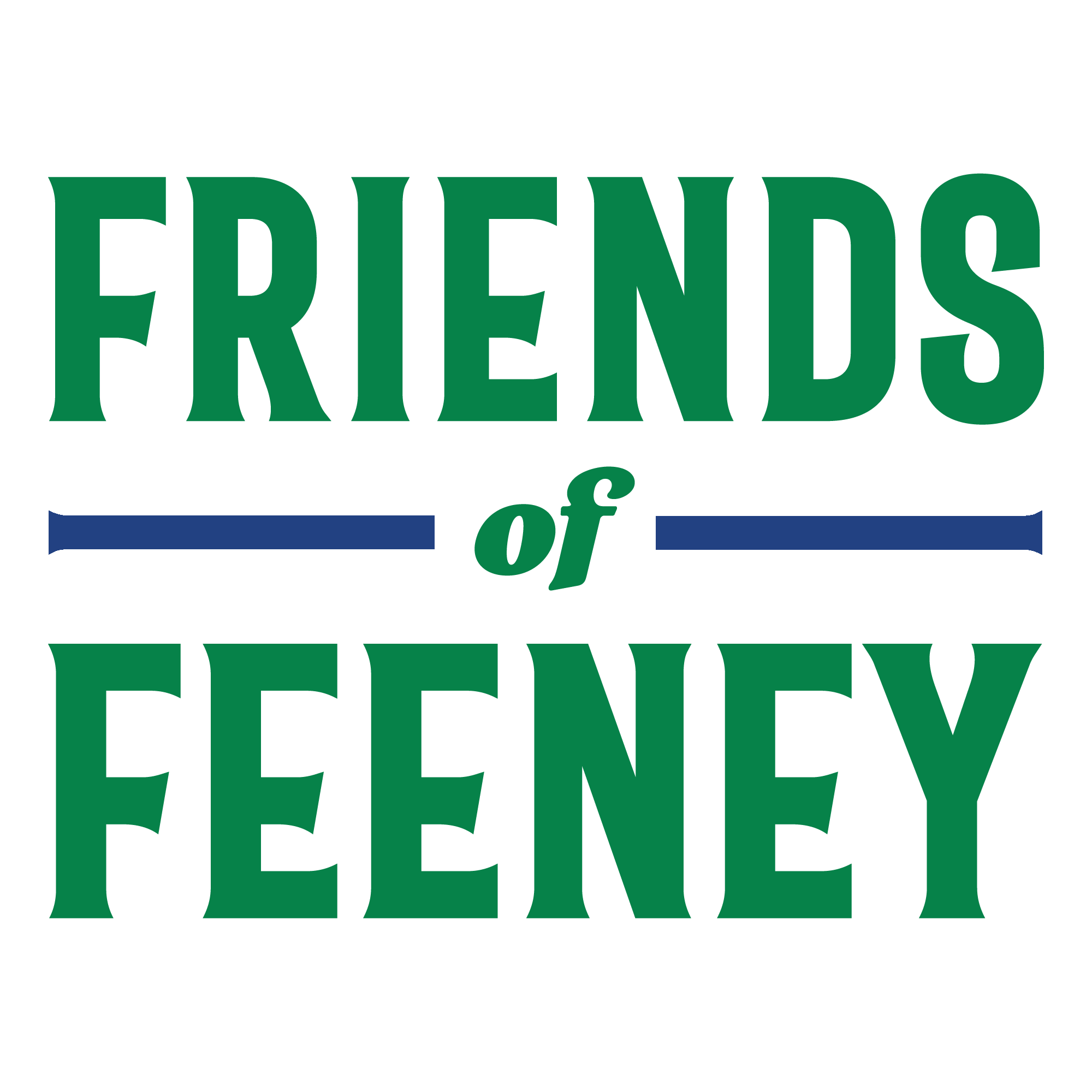 FRIENDS OF FEENEY INC logo