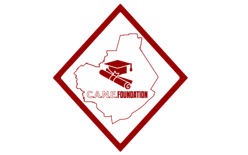 CHARITY ACHIEVEMENT NETWORKING AND EDUCATION FOUNDATIOM logo