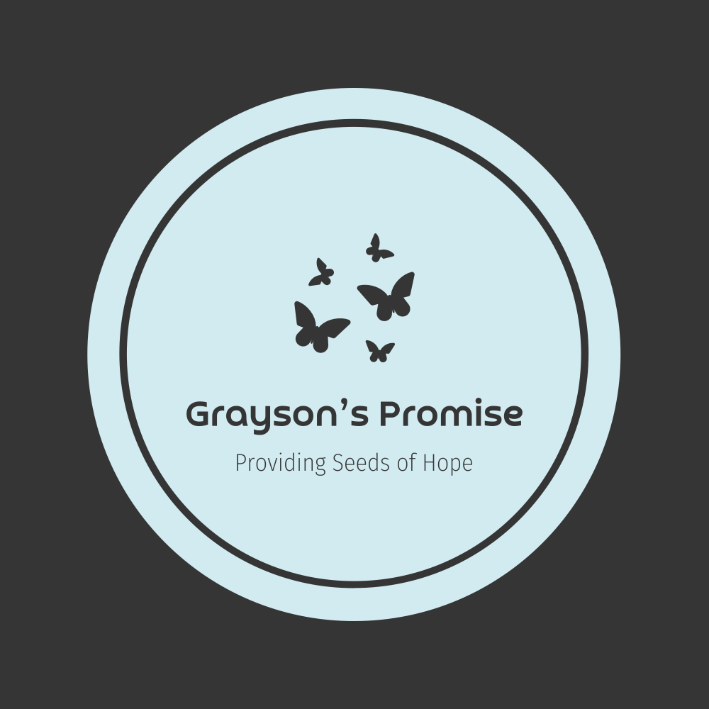 GRAYSONS PROMISE INC logo