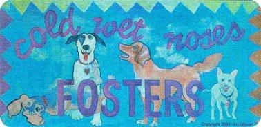 TUCSON COLD WET NOSES FOSTERS INC logo