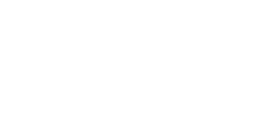 FLORIDA STATE FAIR FOUNDATION INC logo