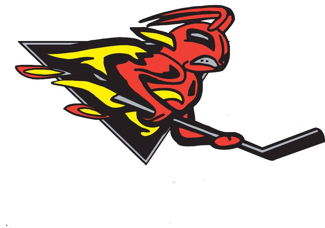 CONNECTICUT FIREANTS logo