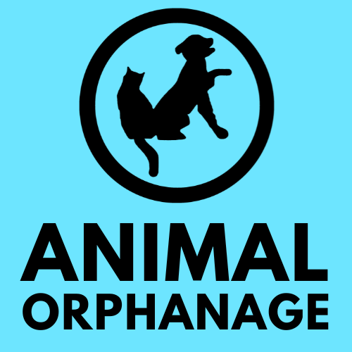 VOORHEES ANIMAL ORPHANAGE INC logo