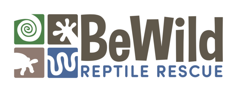 BEWILD logo