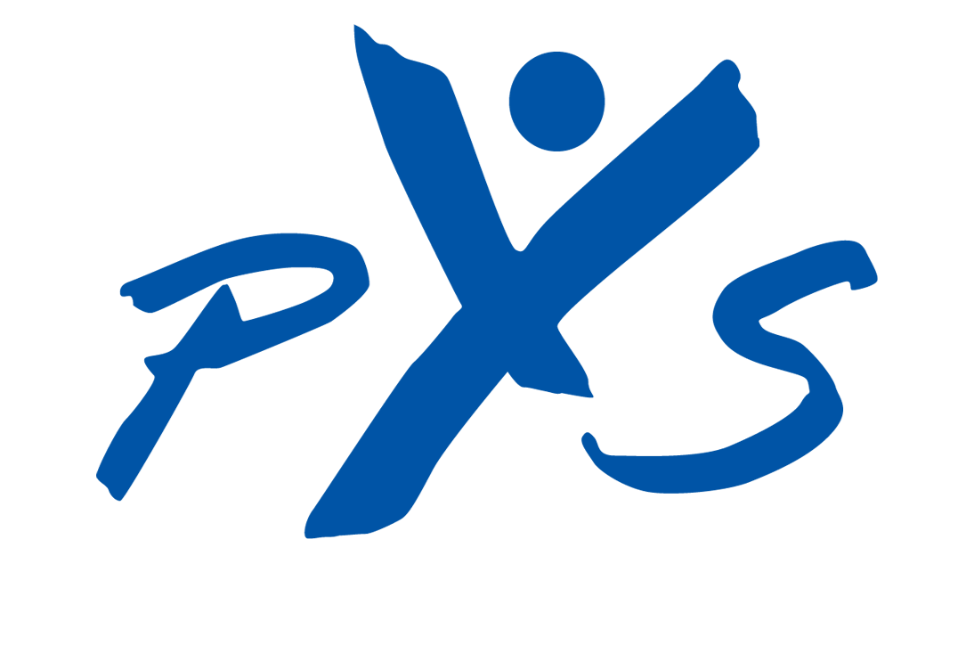 PITTSFORD YOUTH SERVICES INC logo