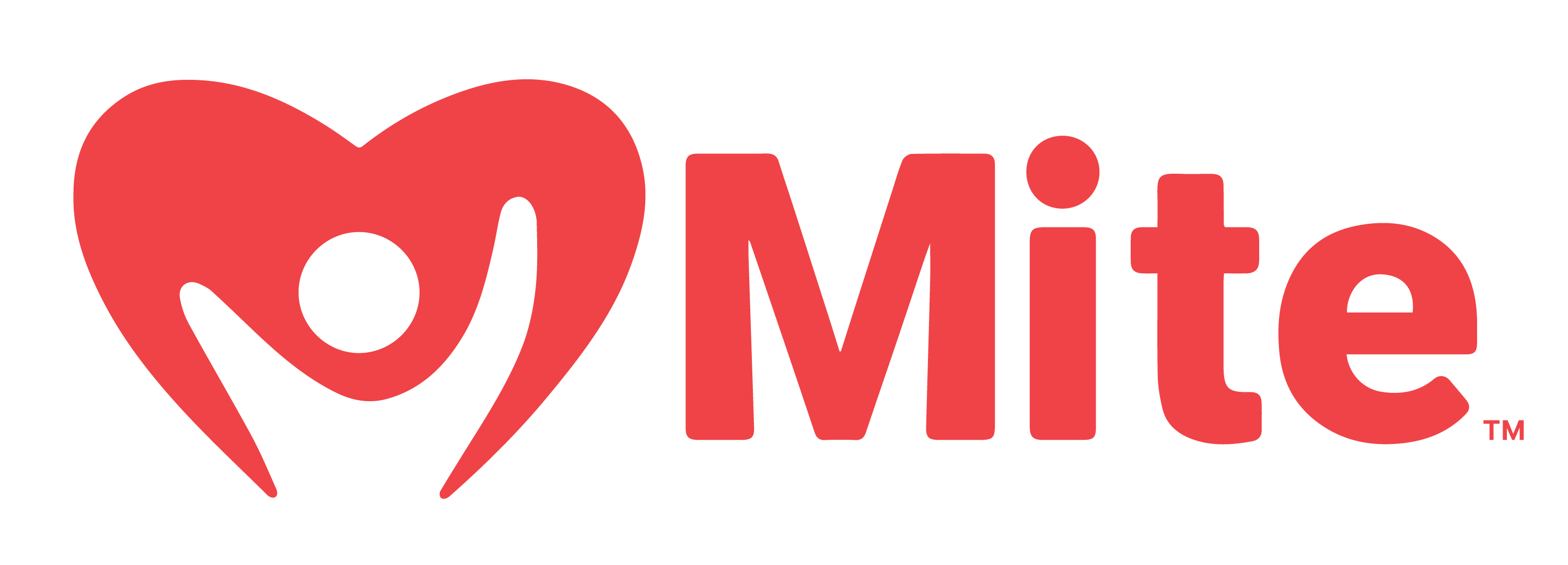 EMITE INC logo