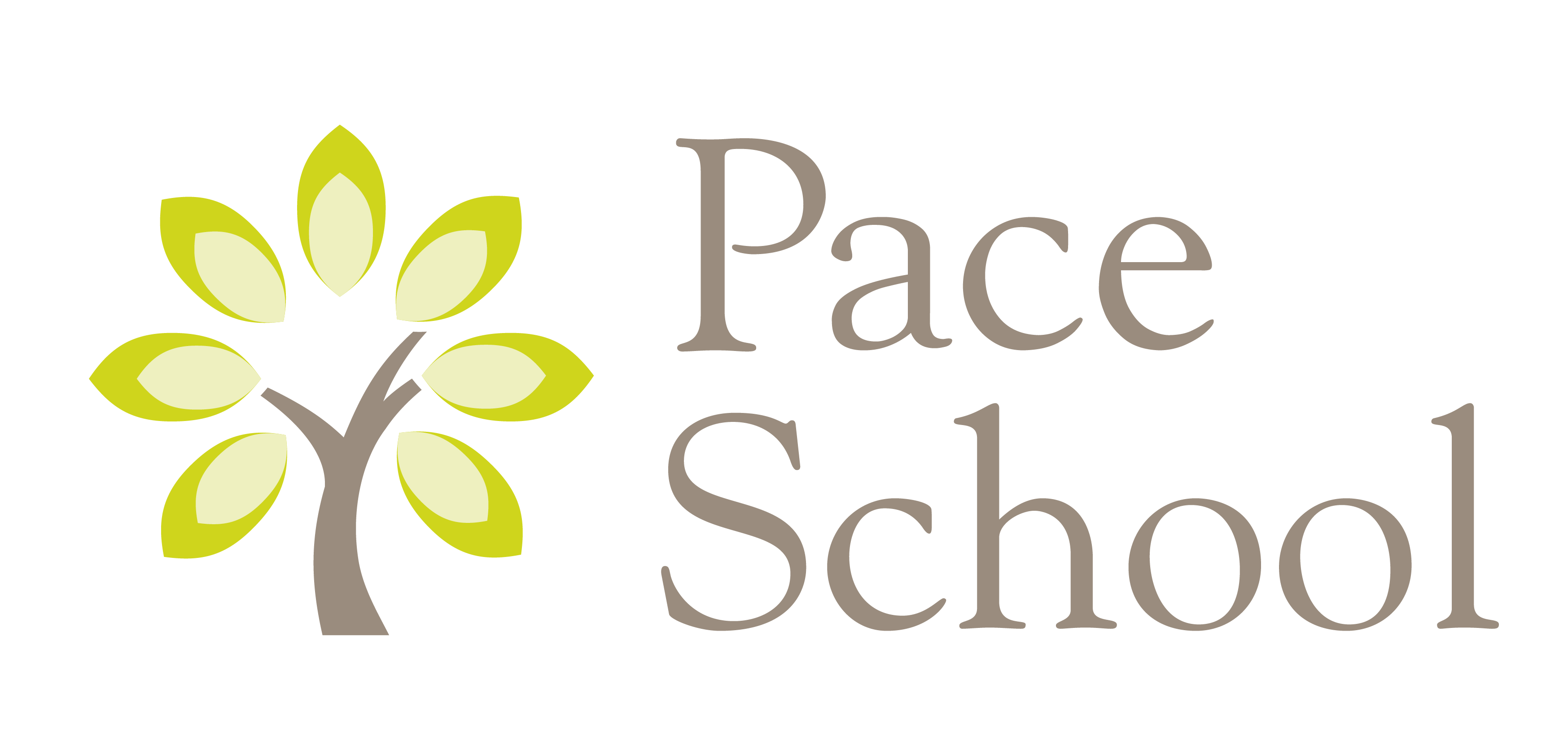 PACE SCHOOL logo