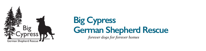 BIG CYPRESS GERMAN SHEPHERD RESCUE INC logo