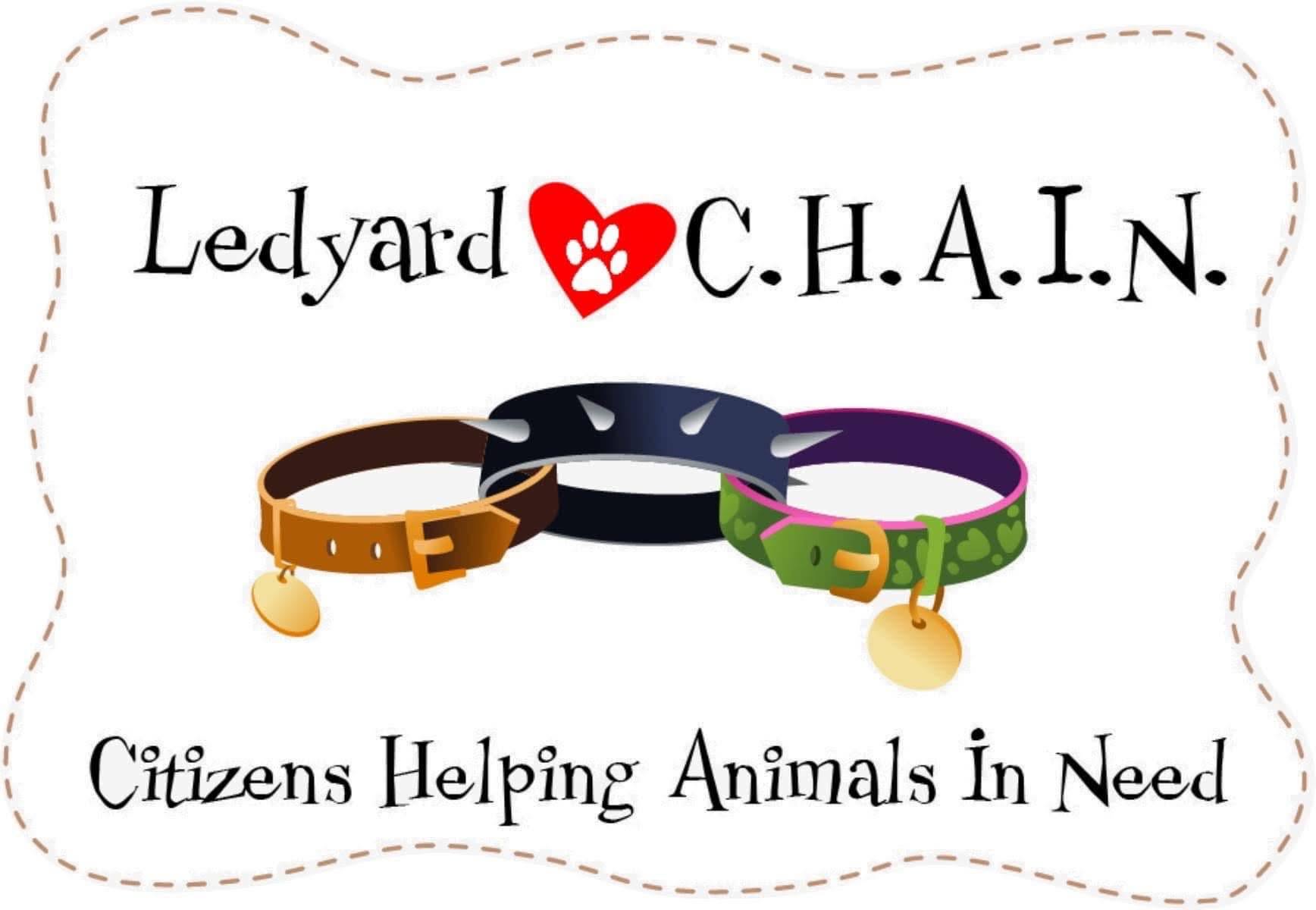 LEDYARD CHAIN INC logo