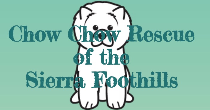 CHOW CHOW RESCUE OF THE SIERRA FOOTHILLS logo
