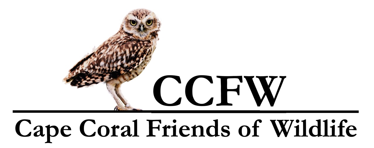 CAPE CORAL FRIENDS OF WILDLIFE INC logo