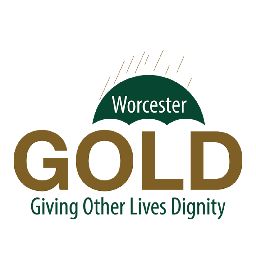 WORCESTER COUNTY G O L D INC logo