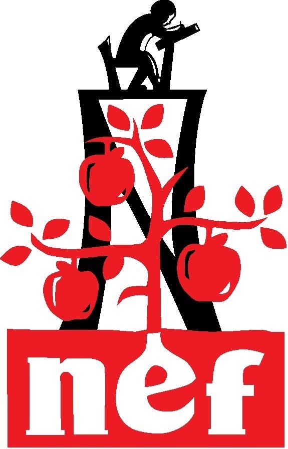 NORTHSIDE EDUCATION FOUNDATION logo