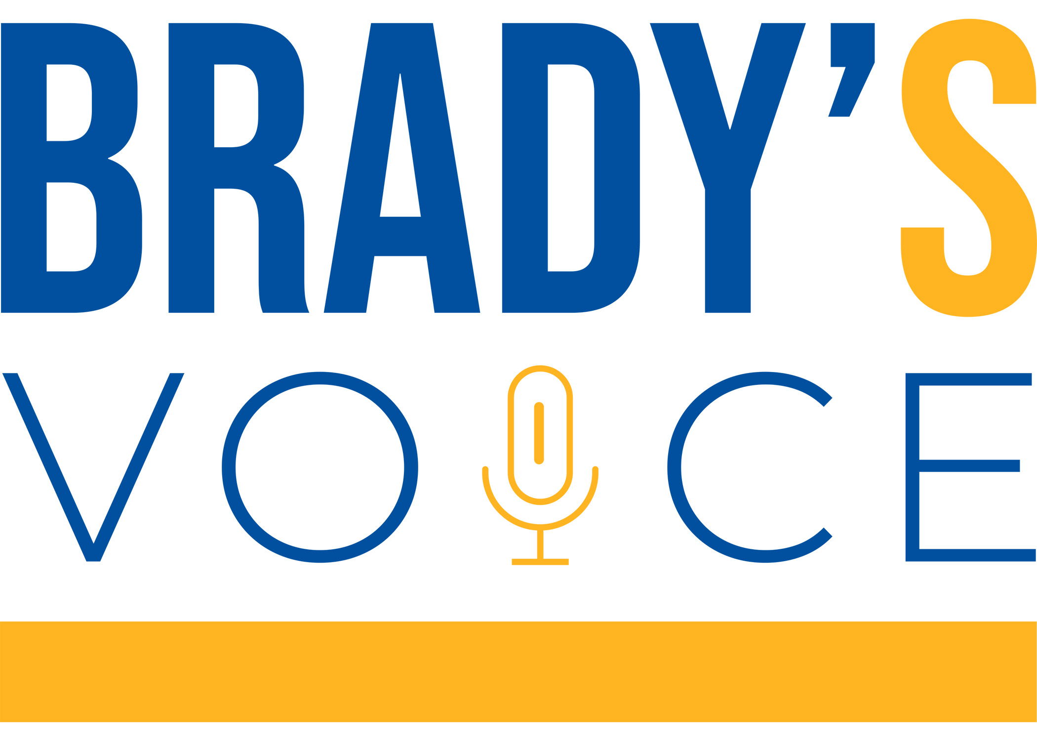 BRADYS VOICE INC logo