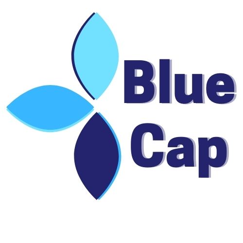 BLUE ISLAND CITIZENS FOR PERSONS WITH DEVELOPMENTAL DISABILITIES logo