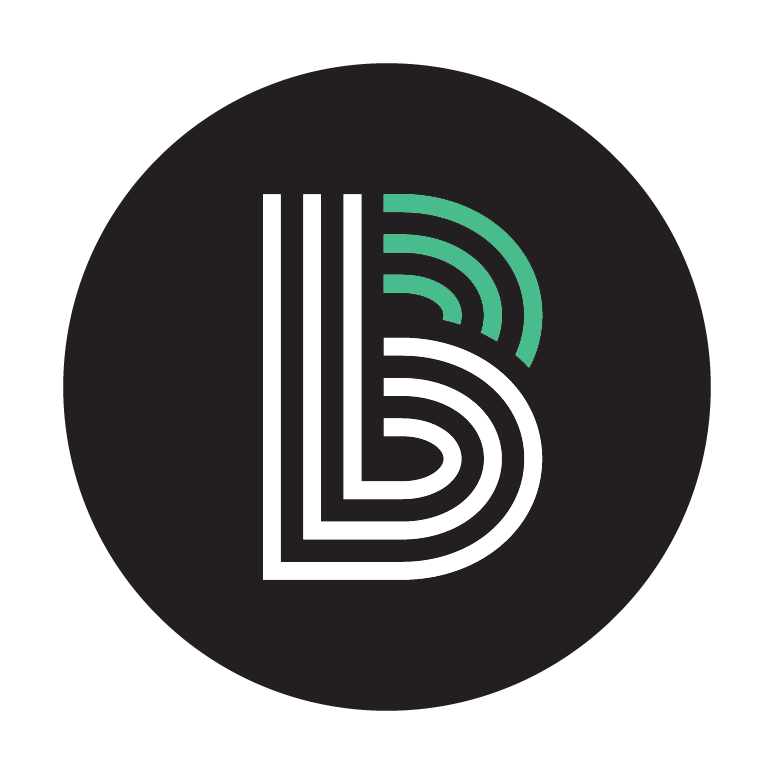 BIG BROTHERS BIG SISTERS OF MCHENRY COUNTY INC logo