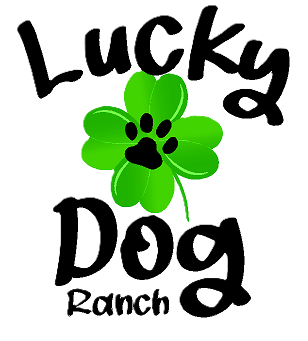 LUCKY DOG RANCH logo