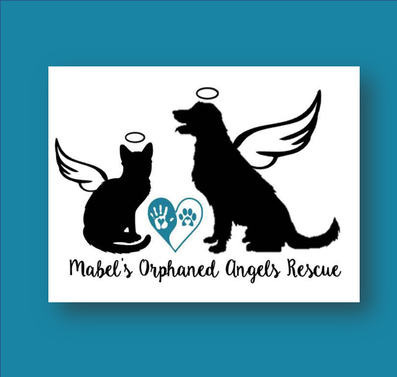 MABELS ORPHANED ANGELS RESCUE logo