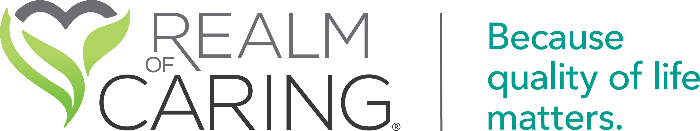 REALM OF CARING FOUNDATION INC logo