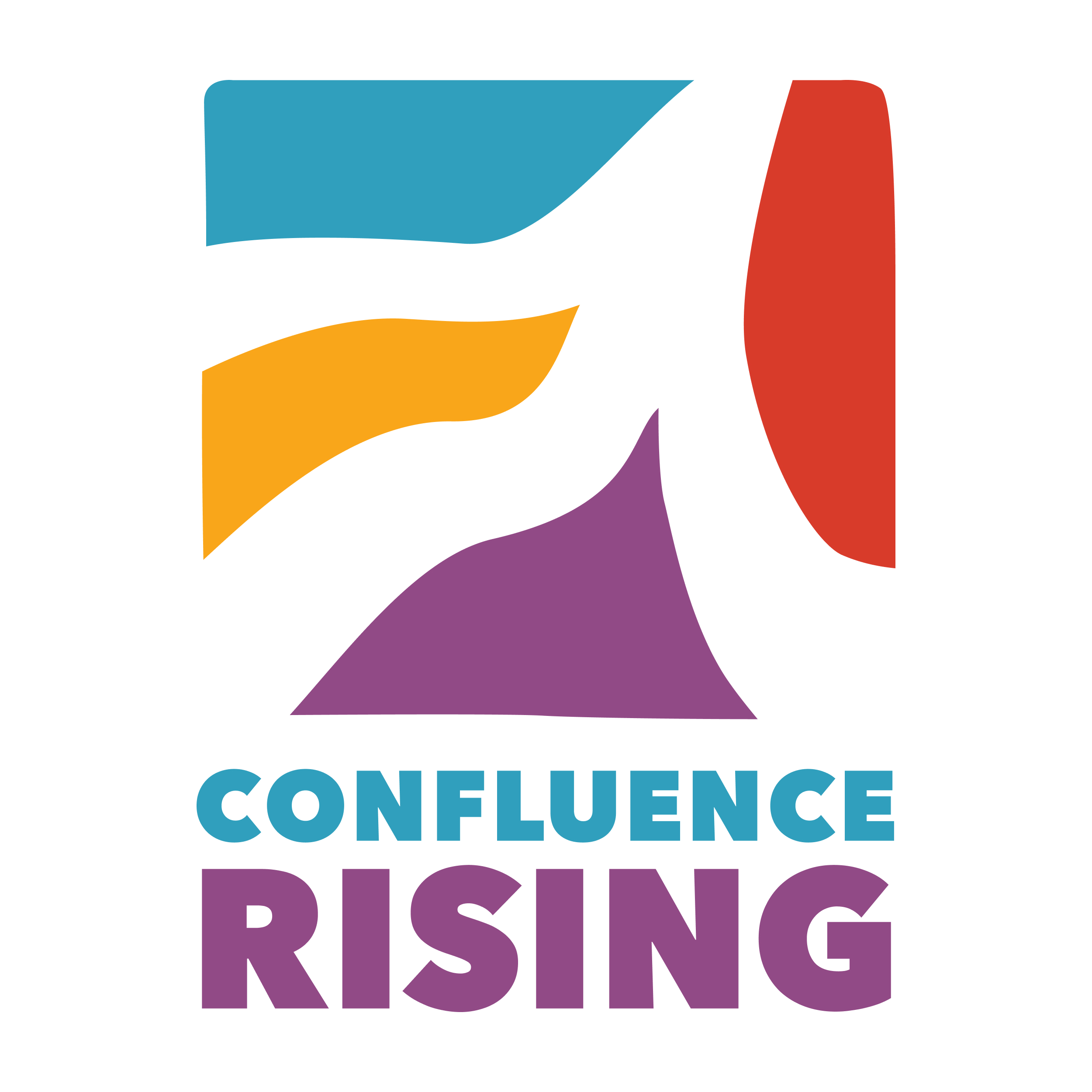 THE CALIFORNIA CONFERENCE FOR EQUALITY AND JUSTICE INC logo