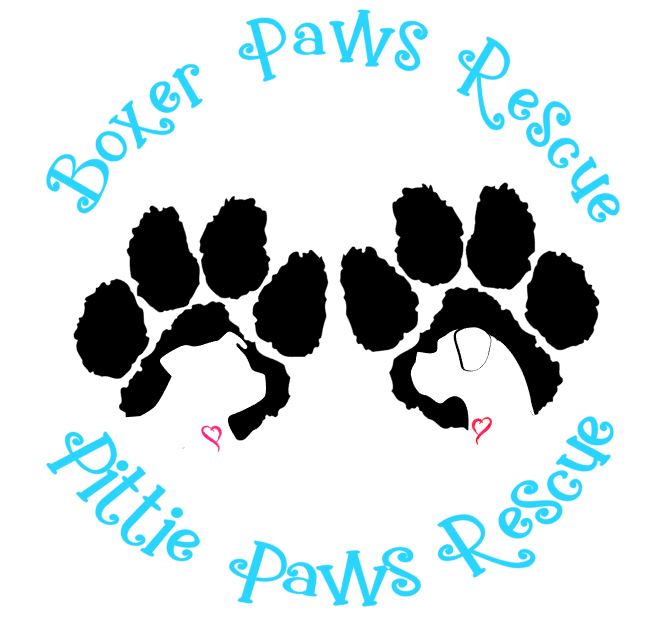 BOXER PAWS RESCUE logo