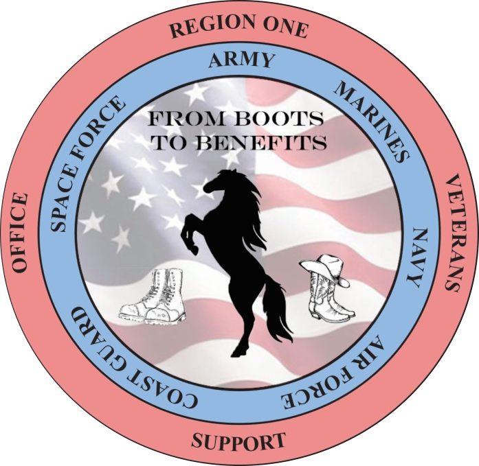 REGION ONE VETERANS SUPPORT OFFICE INC logo