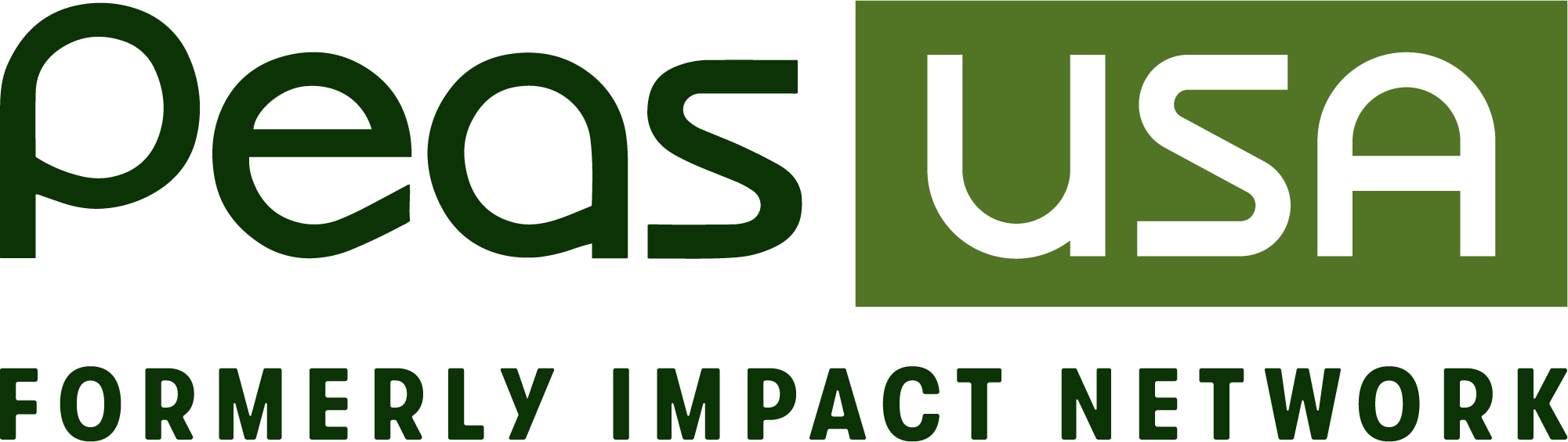 IMPACT NETWORK logo