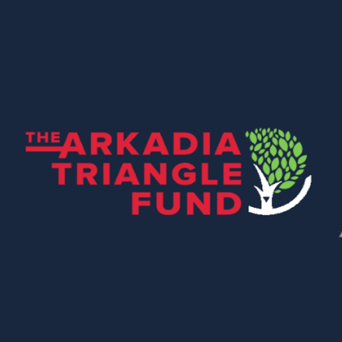 ARKADIA TRIANGLE FUND logo