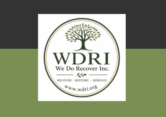 WE DO RECOVER logo