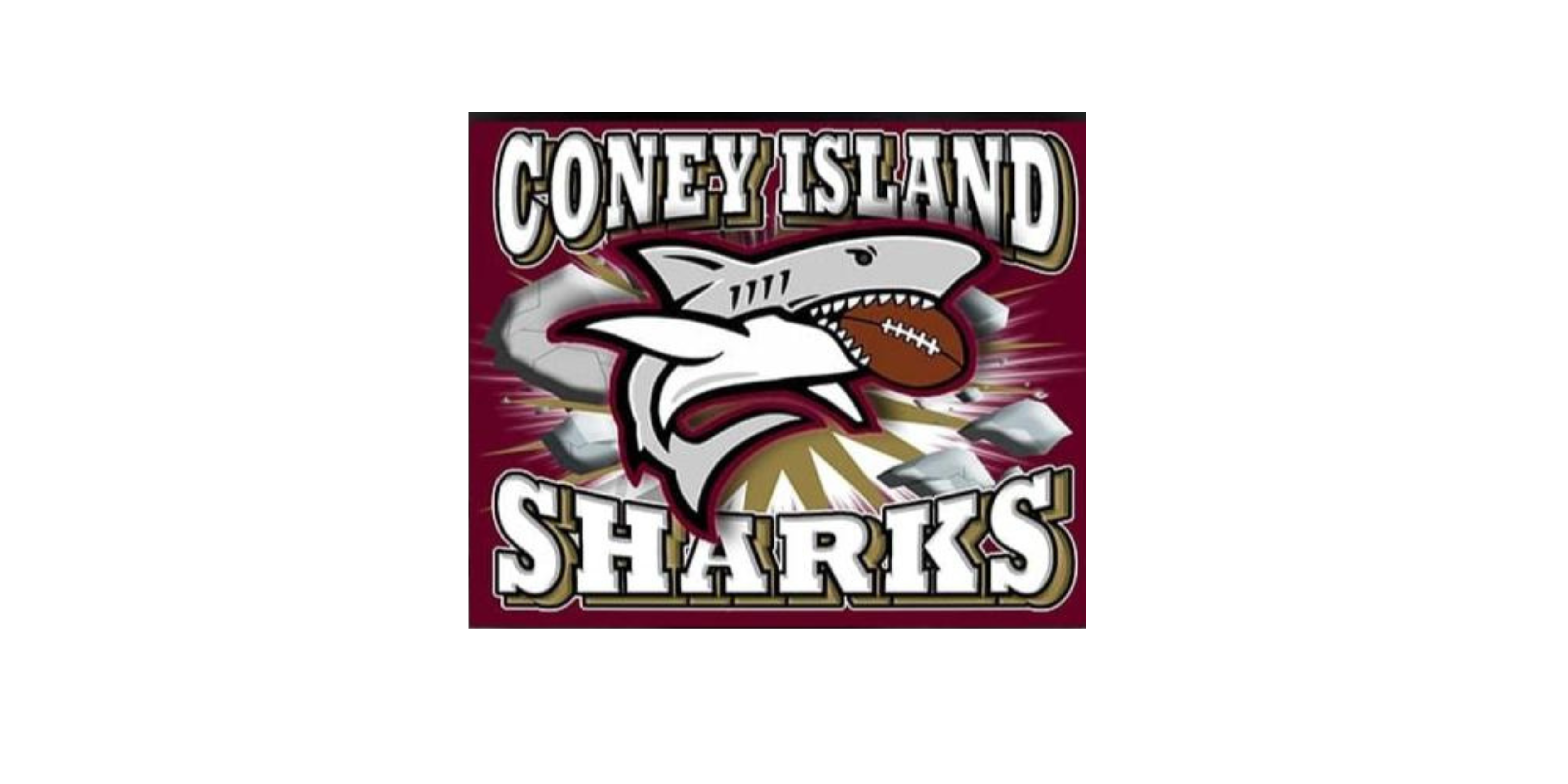 CONEY ISLAND SHARKS EDUCATION SPORT CLUB INC logo