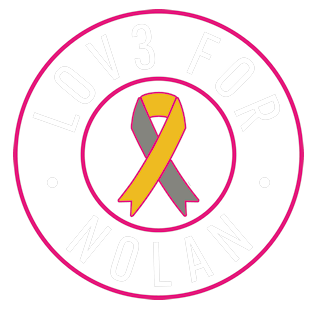 Nolan Nation, Inc. logo