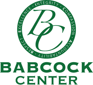 BABCOCK CENTER INC logo