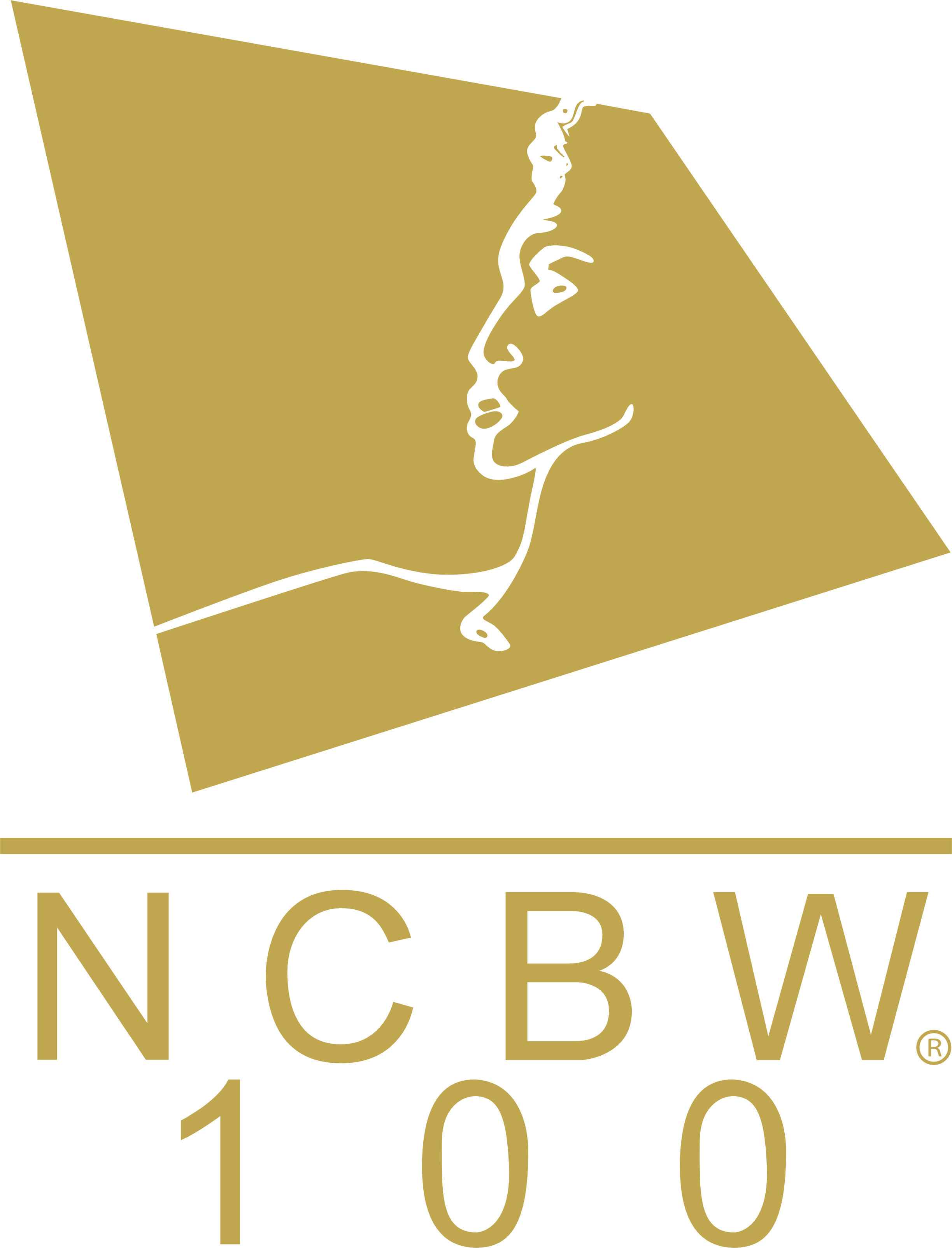 National Coalition of 100 Black Women Inc Aurora IL Metropolitan Chapter logo