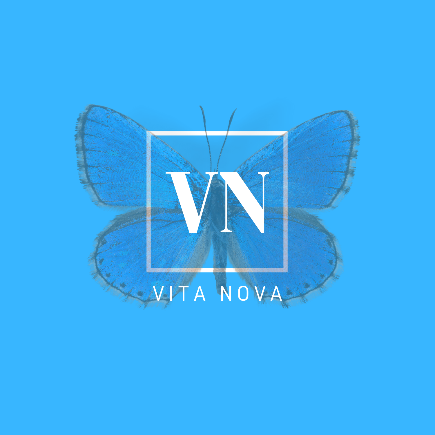 VITA NOVA SUPPORTIVE HOUSING logo