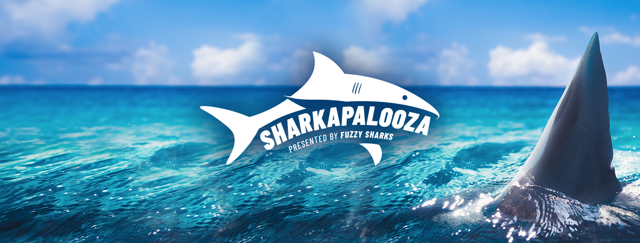 SHARKAPALOOZA INC logo