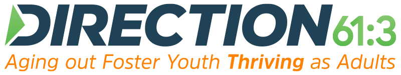 DIRECTION61 3 logo