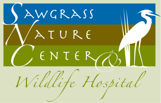 CORAL SPRINGS NATURE CENTER AND WILDLIFE HOSPITAL INC logo